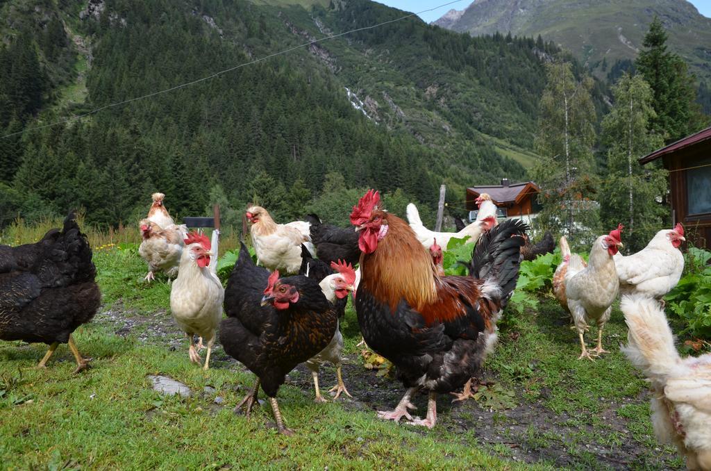 Appartementhaus Naturquell